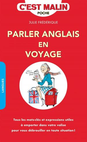 Cover of the book Parler anglais en voyage, c'est malin by David J. Lieberman