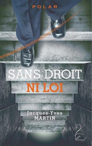Cover of the book Sans droit ni loi by Didier Fossey