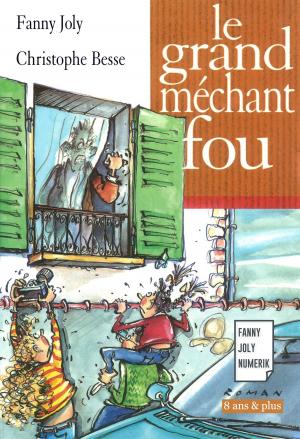 Cover of the book Le grand méchant fou by Fanny Joly