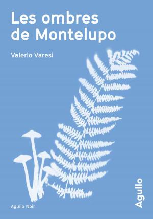 Cover of the book Les ombres de Montelupo by A. M. Huff