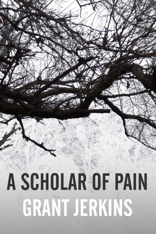 Cover of the book A Scholar of Pain by Grant Jerkins, Down & Out Books
