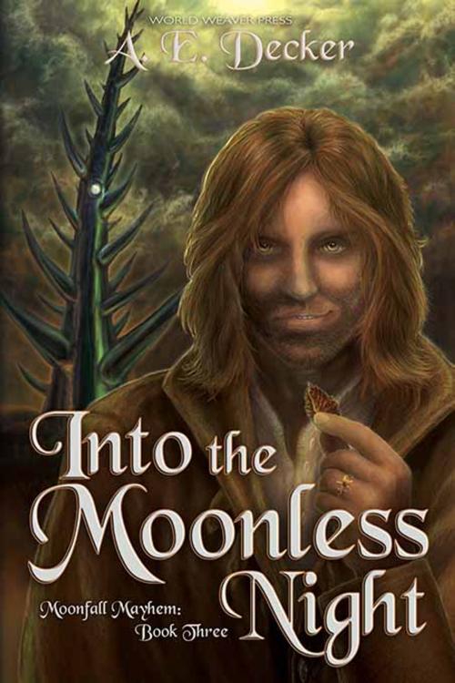 Cover of the book Into the Moonless Night by A. E. Decker, World Weaver Press
