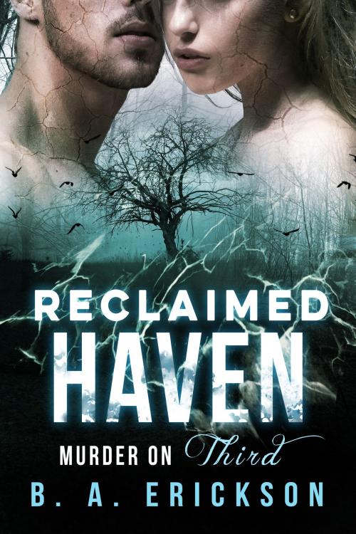 Cover of the book Reclaimed Haven by B.A. Erickson, Filbert Publishing