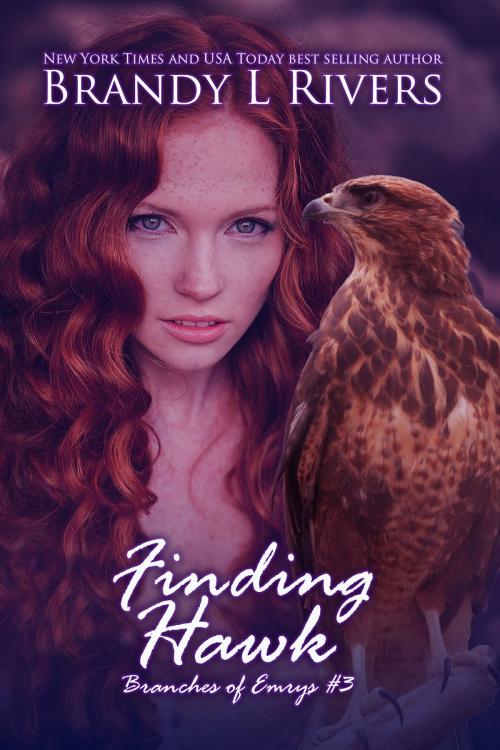 Cover of the book Finding Hawk by Brandy L Rivers, Brandy L Rivers