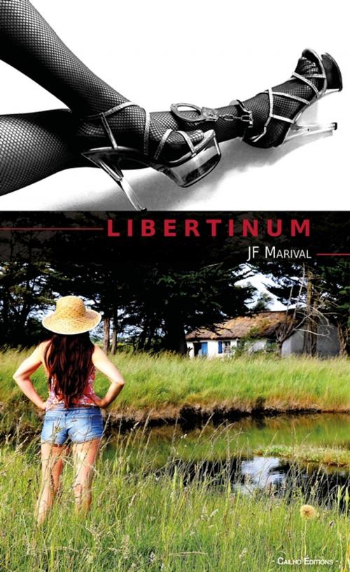 Cover of the book Libertinum by JF Marival, Cailho éditions