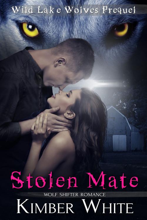 Cover of the book Stolen Mate by Kimber White, Nokay Press LLC