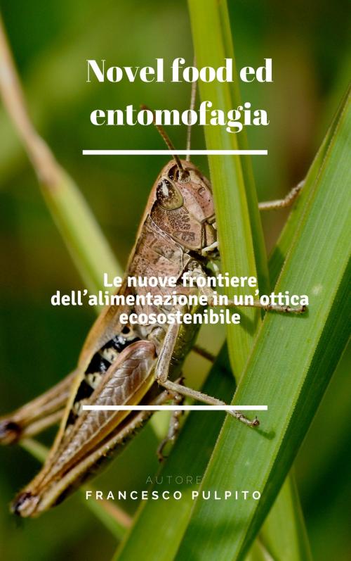 Cover of the book Novel food ed entomofagia by Francesco Pulpito, Francesco Pulpito
