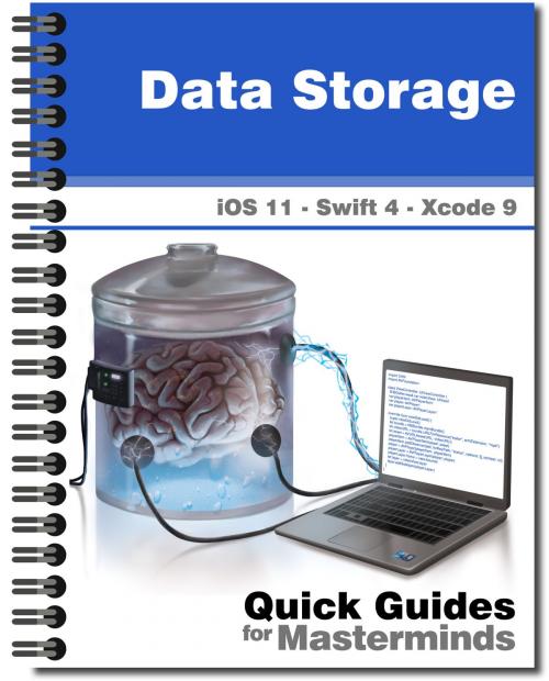 Cover of the book Data Storage in iOS 11 by J.D Gauchat, MinkBooks