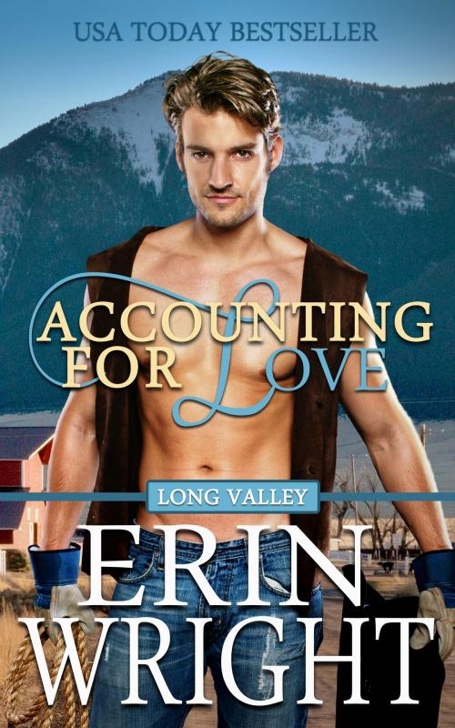 Cover of the book Accounting for Love by Erin Wright, Wright's Romance Reads