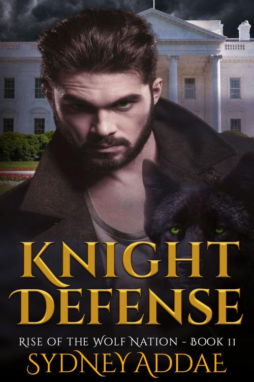 Cover of the book Knight Defense by Sydney Addae, Sydney Addae