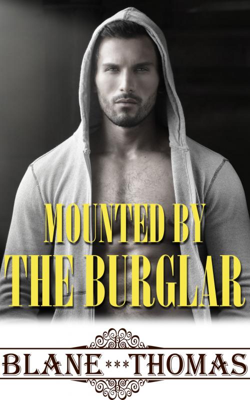 Cover of the book Mounted By The Burglar by Blane Thomas, Gizmo Media