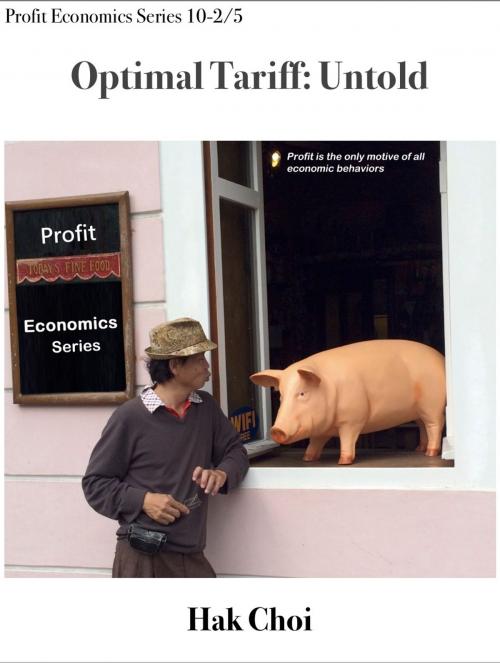 Cover of the book Optimal Tariff: Untold by Hak Choi, Hak Choi