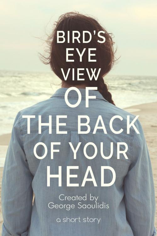 Cover of the book Bird’s-Eye View of the Back of Your Head by George Saoulidis, Mythography Studios