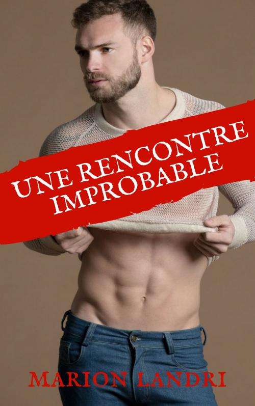 Cover of the book Une rencontre improbable by Marion Landri, ML Edition