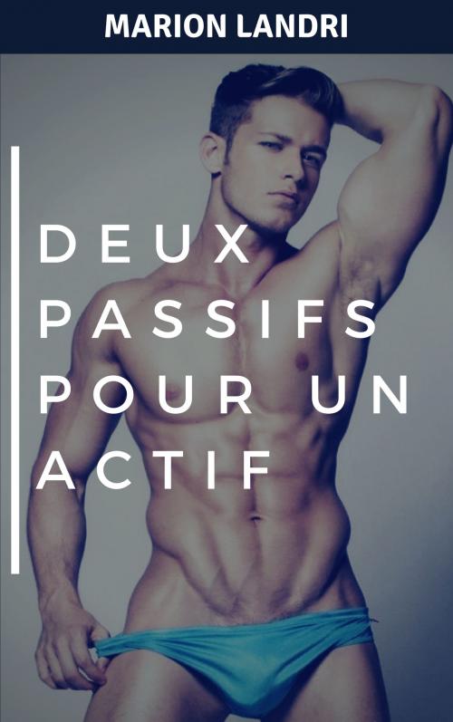 Cover of the book Deux passifs pour un actif by Marion Landri, ML Edition