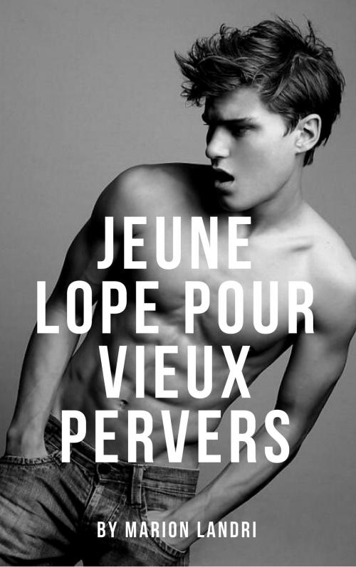 Cover of the book Jeune lope pour un vieux pervers by Marion Landri, ML Edition