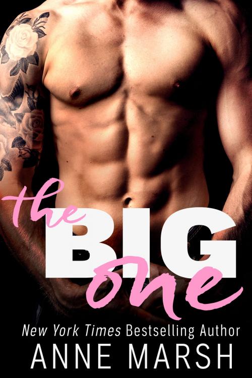 Cover of the book The Big One by Anne Marsh, Anne Marsh