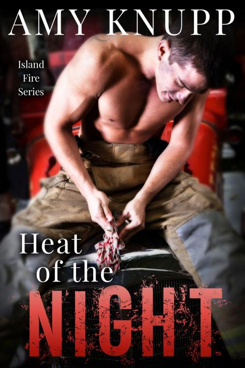 Cover of the book Heat of the Night by Amy Knupp, Lake House Books