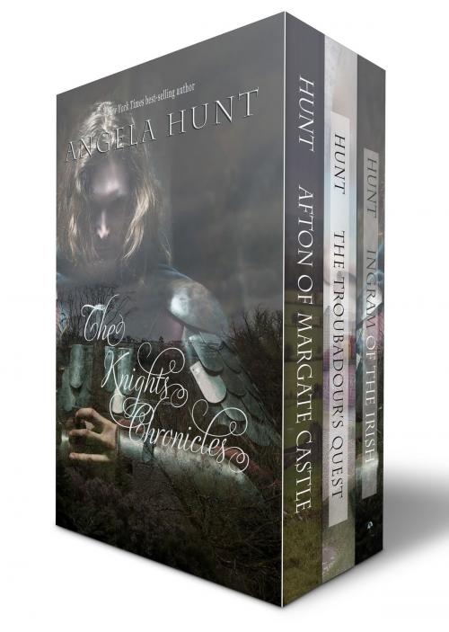 Cover of the book The Knights' Chronicles by Angela Hunt, Hunt Haven Press