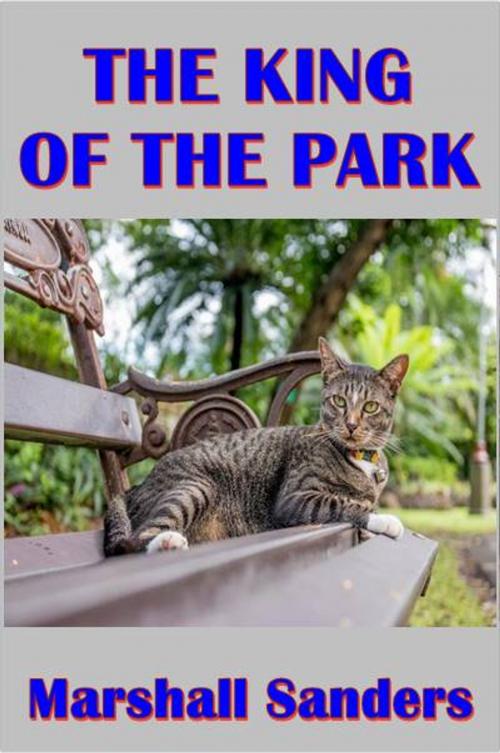 Cover of the book The King of the Park by Marshall Saunders, Green Bird Press