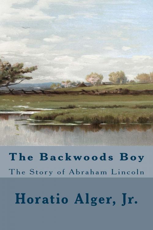Cover of the book The Backwoods Boy (Illustrated Edition) by Horatio Alger, Jr., Steve Gabany