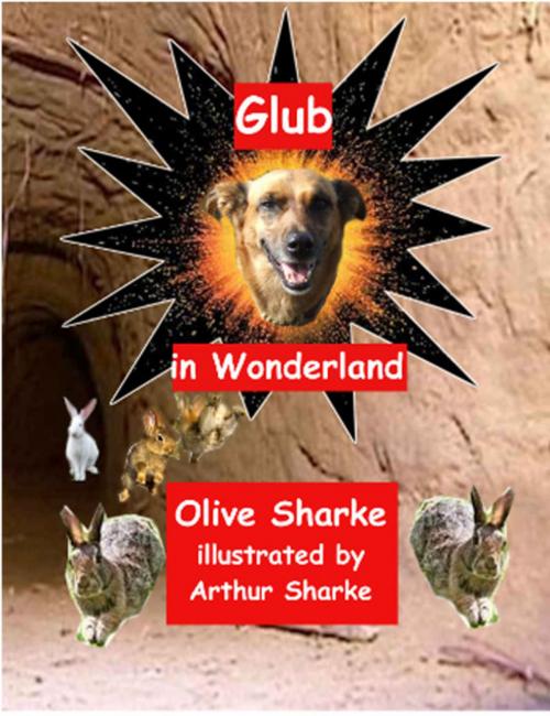 Cover of the book Glub in Wonderland by Olive Sharke, sharkepublishing