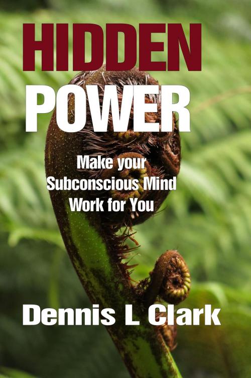Cover of the book HiddenPower by Dennis Clark, The Paint Basket Ltd