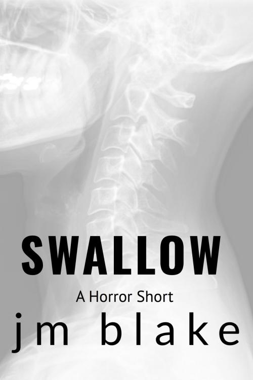 Cover of the book Swallow by JM Blake, JM Blake