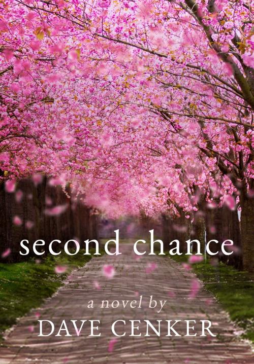 Cover of the book Second Chance by Dave Cenker, Self-Published