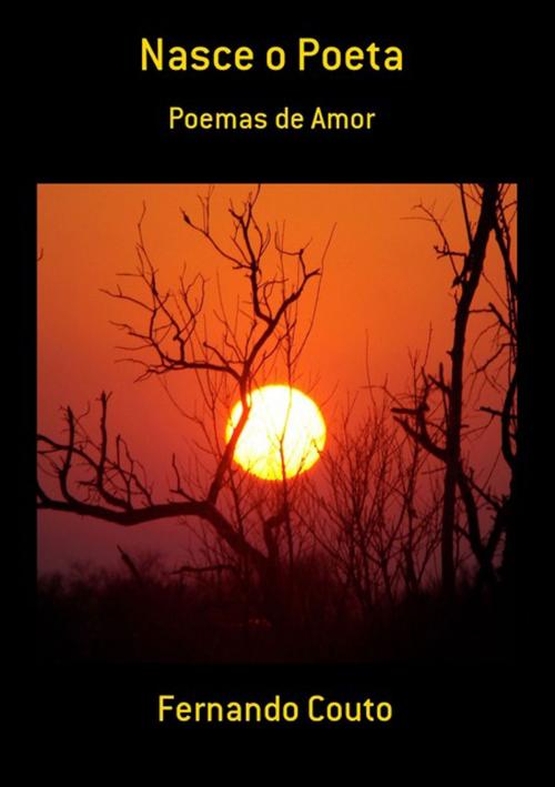 Cover of the book Nasce O Poeta by Fernando Couto, Clube de Autores