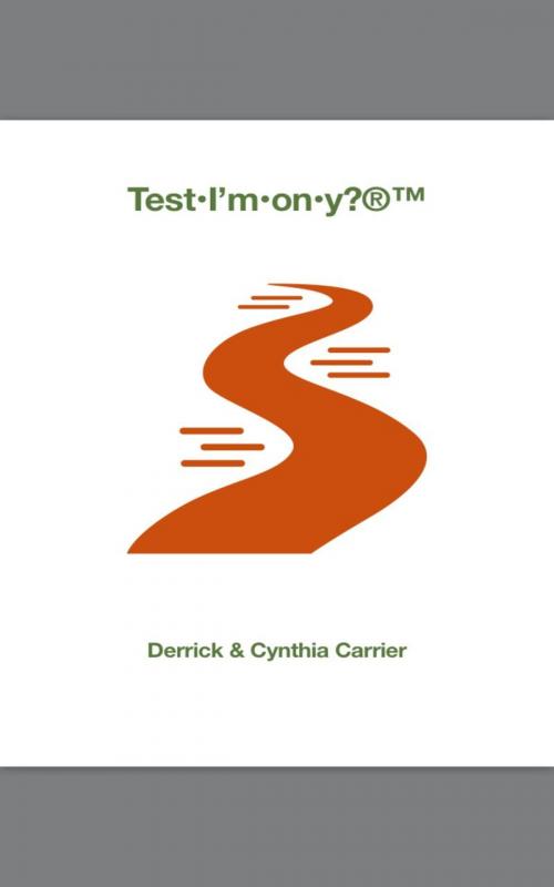 Cover of the book Test•I'm•on•y? by Derrick Carrier, Cynthia Carrier, PublishDrive