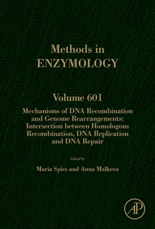 Cover of the book Mechanisms of DNA Recombination and Genome Rearrangements: Intersection Between Homologous Recombination, DNA Replication and DNA Repair by Maria Spies, Anna Malkova, Elsevier Science