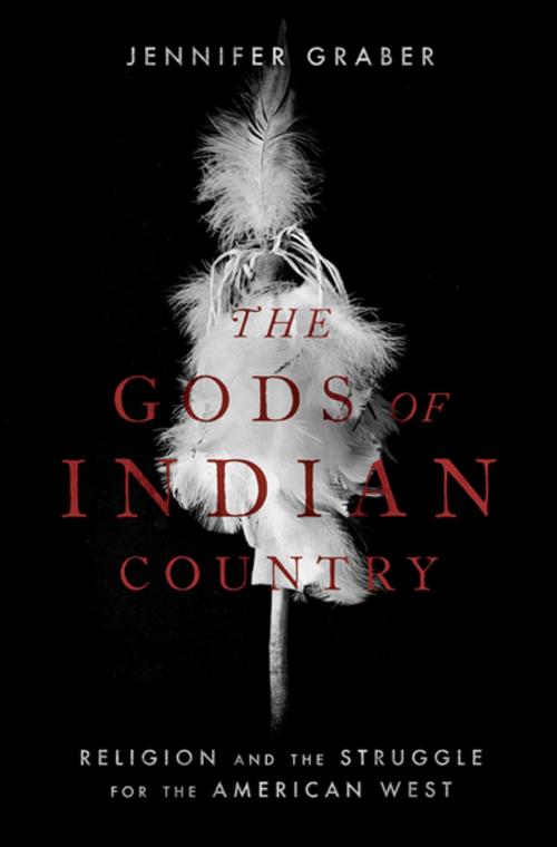 Cover of the book The Gods of Indian Country by Jennifer Graber, Oxford University Press