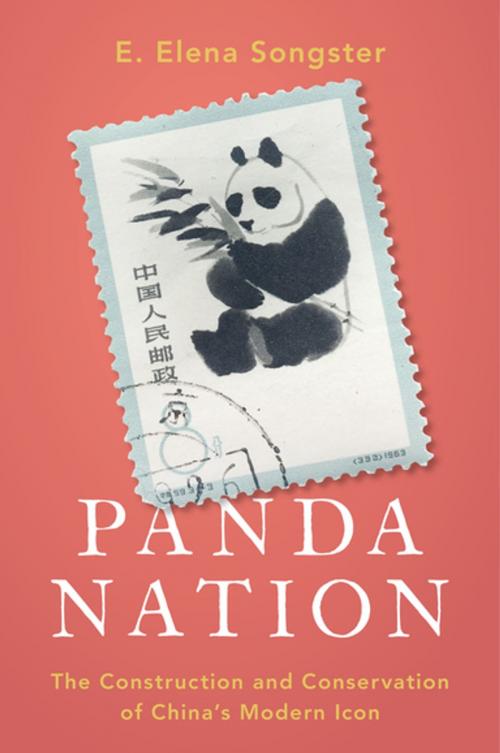 Cover of the book Panda Nation by E. Elena Songster, Oxford University Press