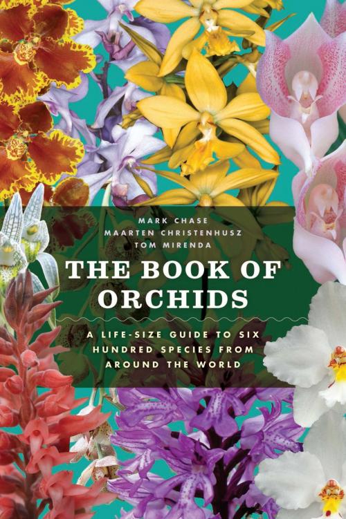 Cover of the book The Book of Orchids by Mark W. Chase, Maarten J. M. Christenhusz, Tom Mirenda, University of Chicago Press