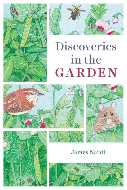 Cover of the book Discoveries in the Garden by James B. Nardi, University of Chicago Press