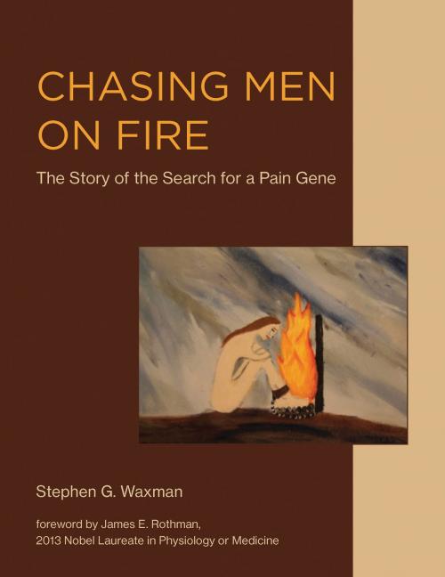 Cover of the book Chasing Men on Fire by Stephen G. Waxman, The MIT Press
