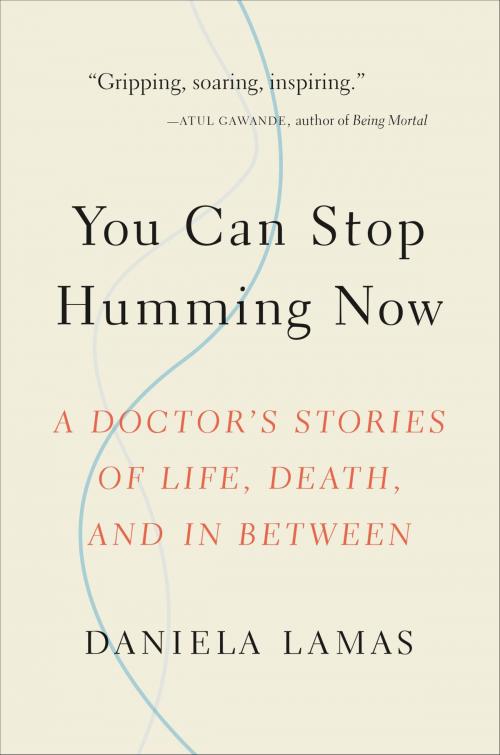 Cover of the book You Can Stop Humming Now by Daniela Lamas, Little, Brown and Company