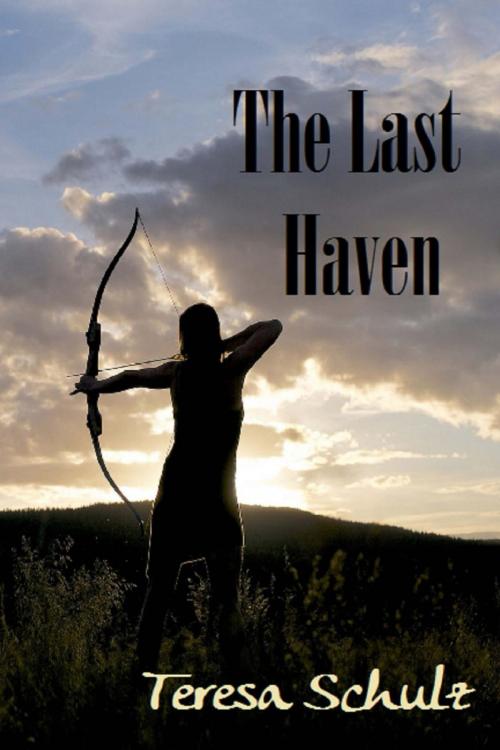 Cover of the book The Last Haven by Teresa Schulz, Teresa Schulz