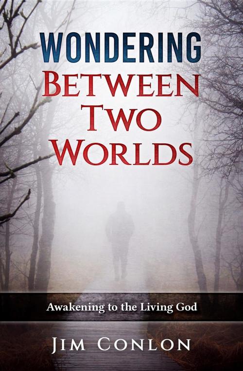 Cover of the book Wondering Between Two Worlds by Jim Conlon, Trowbridge & Tintera LLC