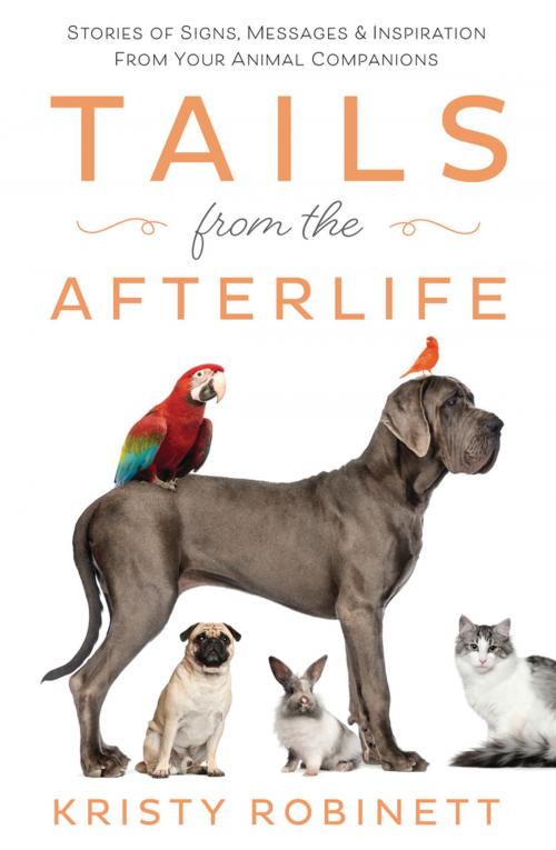 Cover of the book Tails from the Afterlife by Kristy Robinett, Llewellyn Worldwide, LTD.