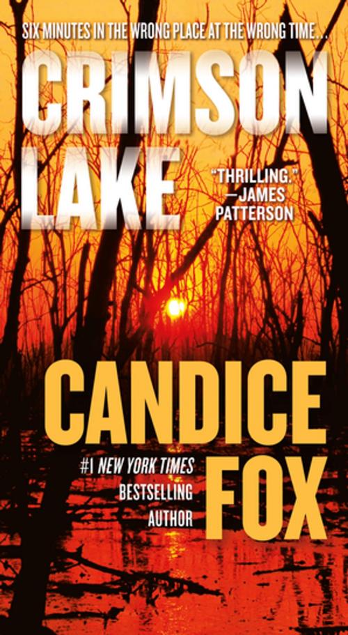 Cover of the book Crimson Lake by Candice Fox, Tom Doherty Associates
