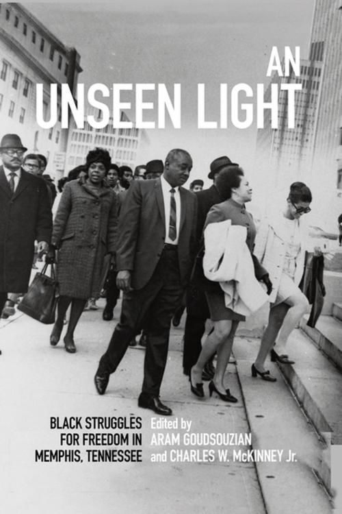 Cover of the book An Unseen Light by Elizabeth Gritter, Brian D. Page, Darius Young, Elton H. Weaver III, David Welky, Beverly Greene Bond, Jason Jordan, Laurie B. Green, Steven A. Knowlton, Charles L. Hughes, Anthony C. Siracusa, James Conway, Shirletta Kinchen, Zandria F. Robinson, Michael K. Honey, The University Press of Kentucky