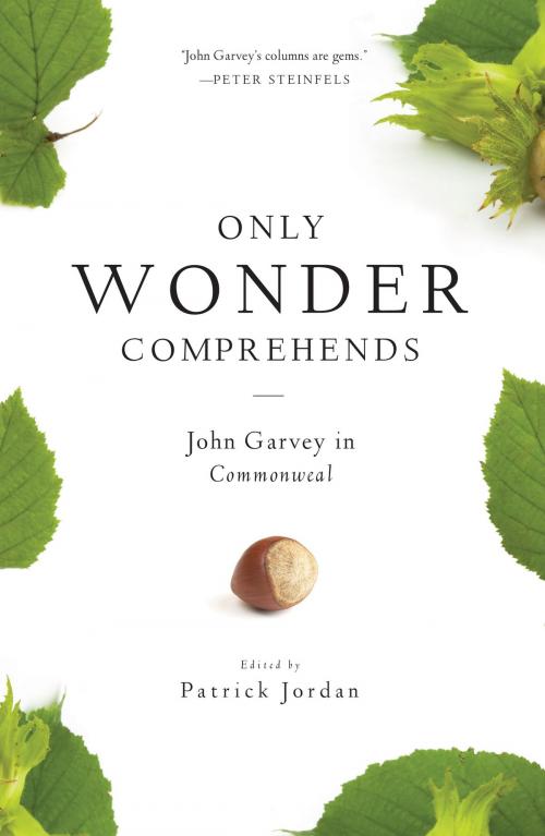 Cover of the book Only Wonder Comprehends by John Garvey, Liturgical Press