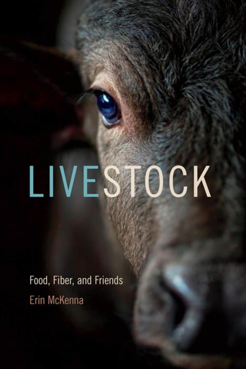 Cover of the book Livestock by Erin McKenna, University of Georgia Press