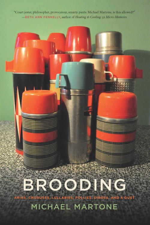 Cover of the book Brooding by Michael Martone, John Griswold, University of Georgia Press
