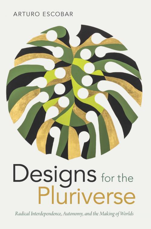 Cover of the book Designs for the Pluriverse by Arturo Escobar, Duke University Press