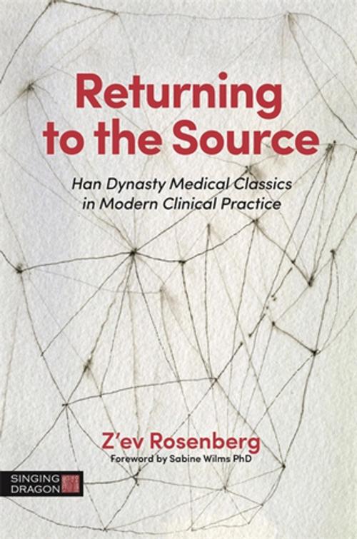 Cover of the book Returning to the Source by Z'ev Rosenberg, Jessica Kingsley Publishers