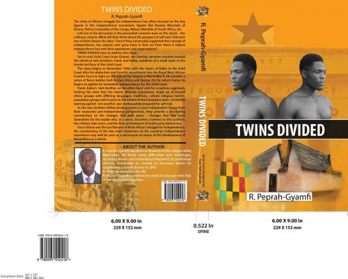 Cover of the book TWINS DIVIDED by Robert Peprah-Gyamfi, Divine Favour Enterprises Ltd