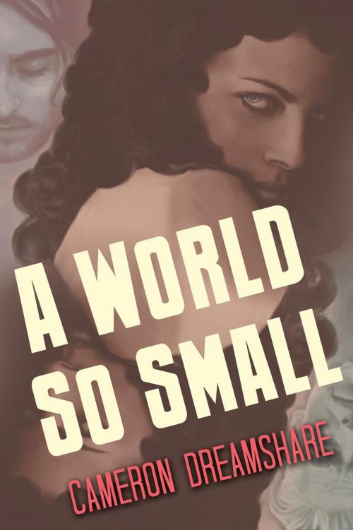 Cover of the book A World So Small by Cameron Dreamshare, Cameron Dreamshare